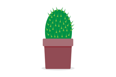 Plant cactus isolated