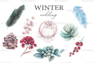 Watercolor winter flowers, berries, leaves set