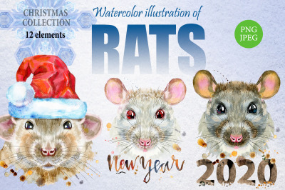 New Year Rat Collection