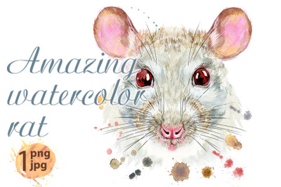 Watercolor portrait of white rat with splashes