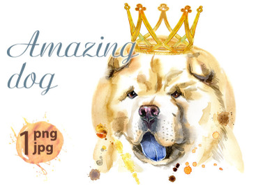 Watercolor portrait of chow-chow dog with crown