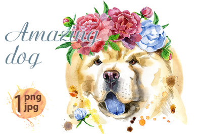 Watercolor portrait of chow-chow dog in a wreath of peonies