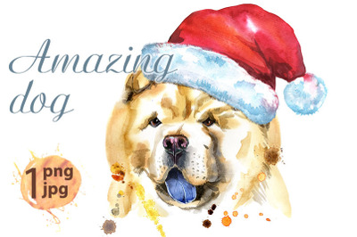 Watercolor portrait of chow-chow dog with Santa hat