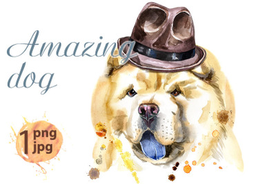 Watercolor portrait of chow-chow dog in a brown hat