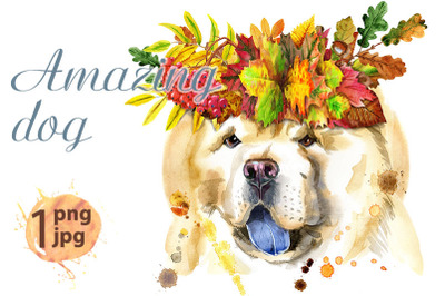 Watercolor portrait of chow-chow dog with wreath of leaves