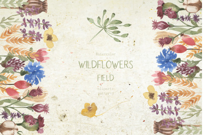 Wildflowers field