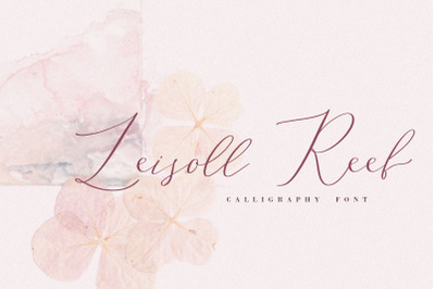 Leisoll Reef, calligraphy font