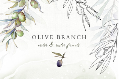 Olive branches collection &nbsp;Watercolor png