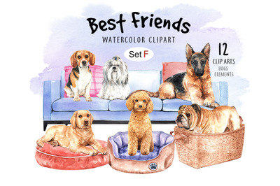 Dog watercolor clipart, Pet clip arts, Dog Set F