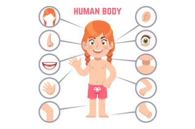 Girl body parts. Human child with eye, nose and chest, head. Knee, leg