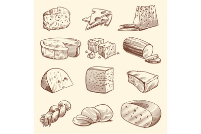 Hand drawn cheese. Various types of cheeses. Tasty brie, mozzarella an