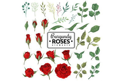 Red roses. Garden burgundy rose flowers, floral bouquets with buds and