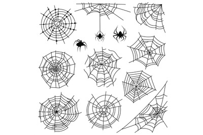 Cobweb. Halloween monochrome spiderweb and dangerous spider. Web silho