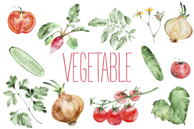 Vegetables  watercolor collection