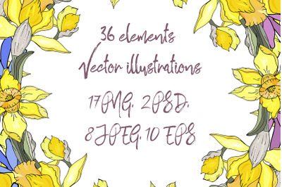 Daffodil and primrose.  Graphic clipart