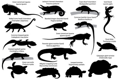 Silhouettes of reptiles