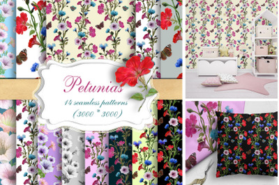Petunia flowers, Cornflowers Digital Paper Seamless Pattern,