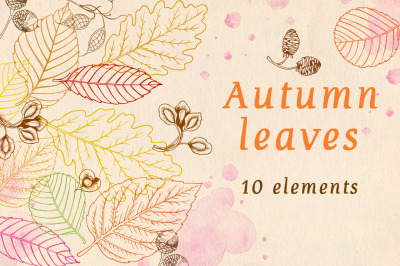 Autumn Leaves and Patterns