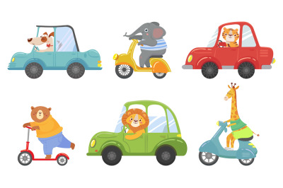 Cute animals on transport. Animal on scooter, driving car and zoo trav