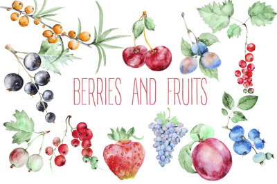 Berries and fruits watercolor
