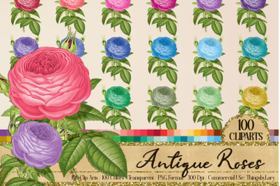 100 Antique Vintage Ephemera Wedding Rose Flower PNG Images