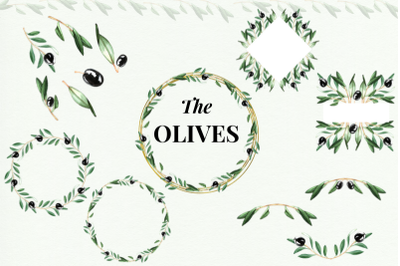 Watercolor Olive Clipart, Greenery Watercolor, Olive Branch