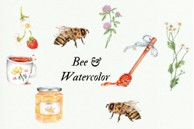 Watercolor Bee and Honey Illustrations