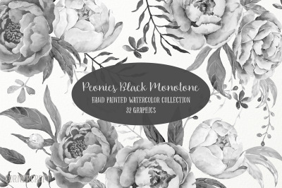 Black and White Peony Collection