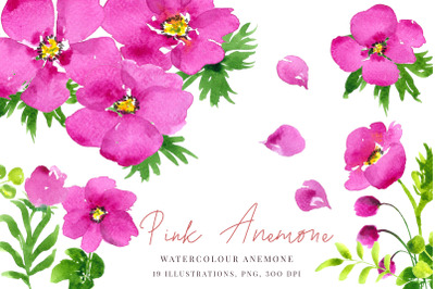 Watercolour pink anemones clip art, PNG