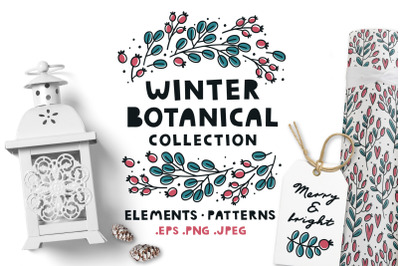 WINTER | BOTANICAL collection