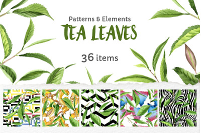 Green Tea Leaves Watercolor png