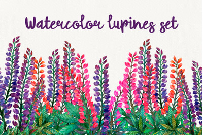 Watercolors lupines set