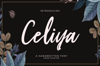 Celiya Script