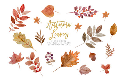 Watercolor autumn leaves ClipArt wreath&2C; border Floral Fall leaves