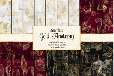 Gold Anatomy Digital Paper