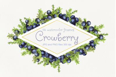 14 frames with watercolor crowberry