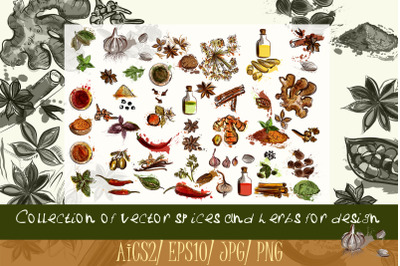 Collection of vector spices