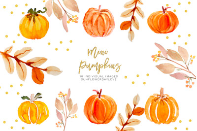 Thanksgiving clipart, Mini Pumpkins clip art, fall digital clipart