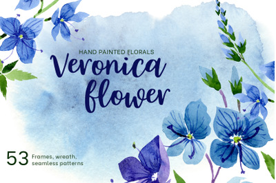 Veronica flower blue watercolor png