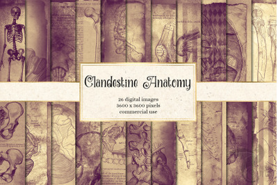 Clandestine Anatomy Digital Paper