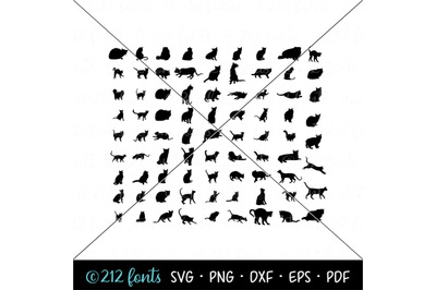 80 Cats and Kittens Silhouettes Cut File DXF PNG JPG SVG EPS