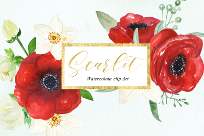 Anemones Scarlet red. Watercolour clipart