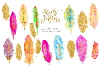 Watercolor Feathers clipart Download