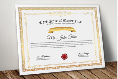 Professional Certificate Word Template