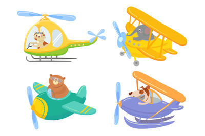 Cute animals on air transport. Animal pilot, pet in helicopter and air