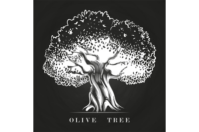 Hand drawn old olive tree on chalkboard