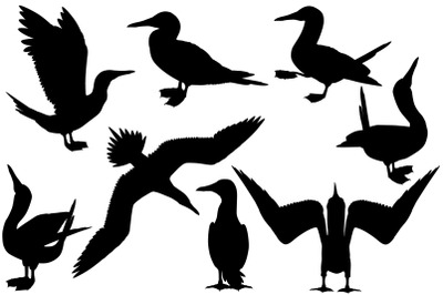 Blue-footed booby silhouette