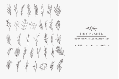 Tiny Plants Illustration Bundle