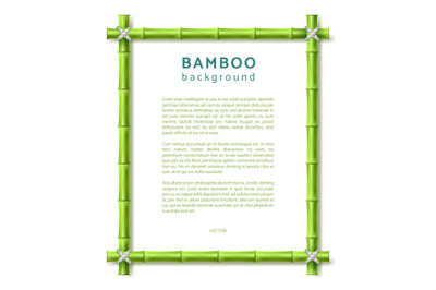 Bamboo frame. Eco spa resort vector background