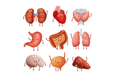 Cute cartoon human organs. Stomach, lungs and kidneys, brain and heart